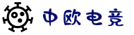 中欧电竞-连接东西方的电竞桥梁